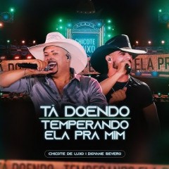 Chicote de Luxo